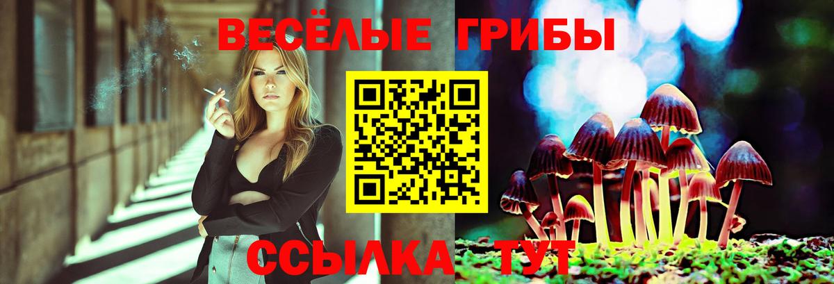 Тихвин  Псилоцибиновые грибы GOLDEN TEACHER  Вход с VPN  Галлюциногенные грибы мицелий 